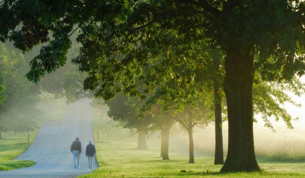 Two men walk down outdoor nature path